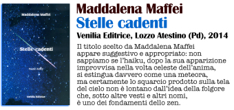 STELLE CADENTI
